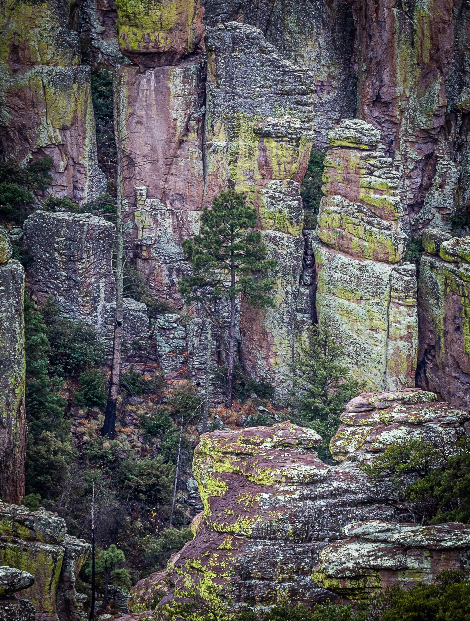 Chiricahua formations