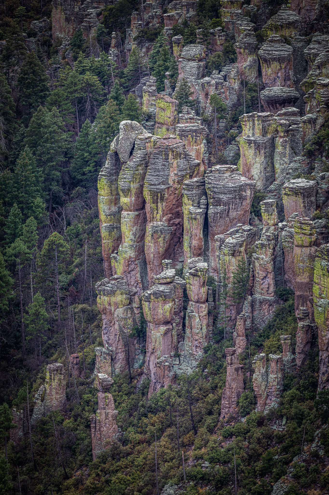 Chiricahua formations