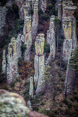 Chiricahua formations