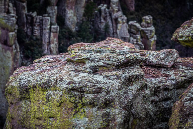 Chiricahua formations