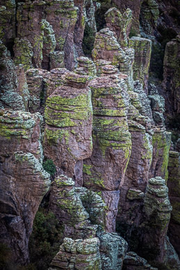 Chiricahua formations