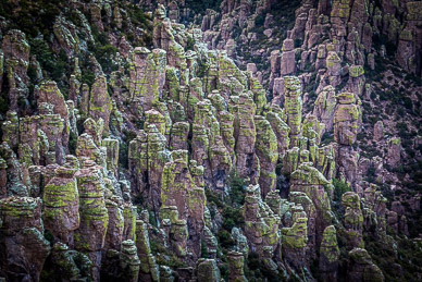 Chiricahua formations