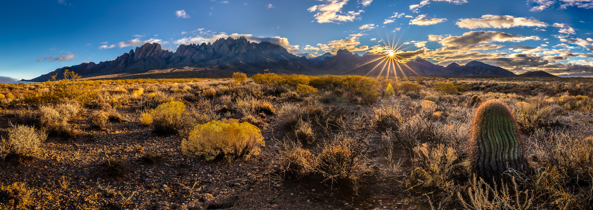 Organ Mountains