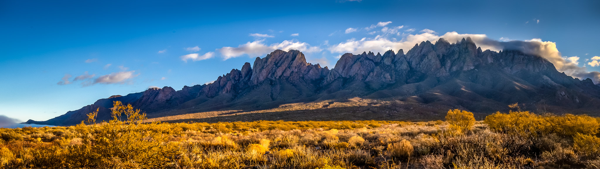 Organ Mountains