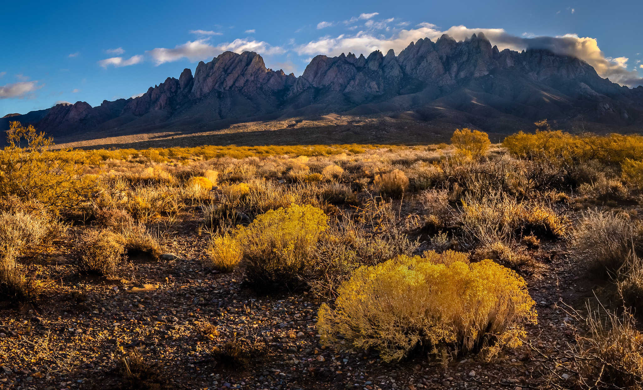 Organ Mountains