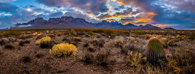 Organ Mountains