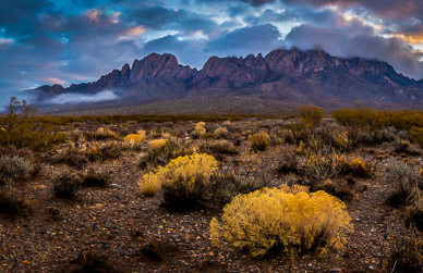 Organ Mountains