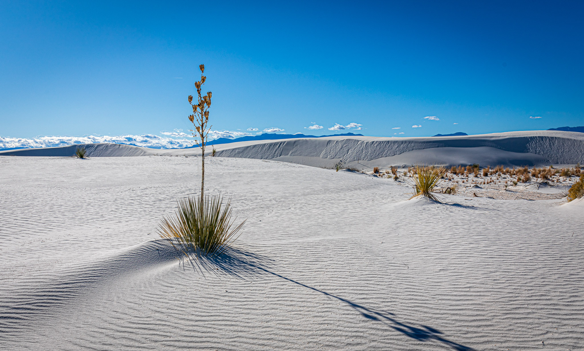 White Sands National Monument