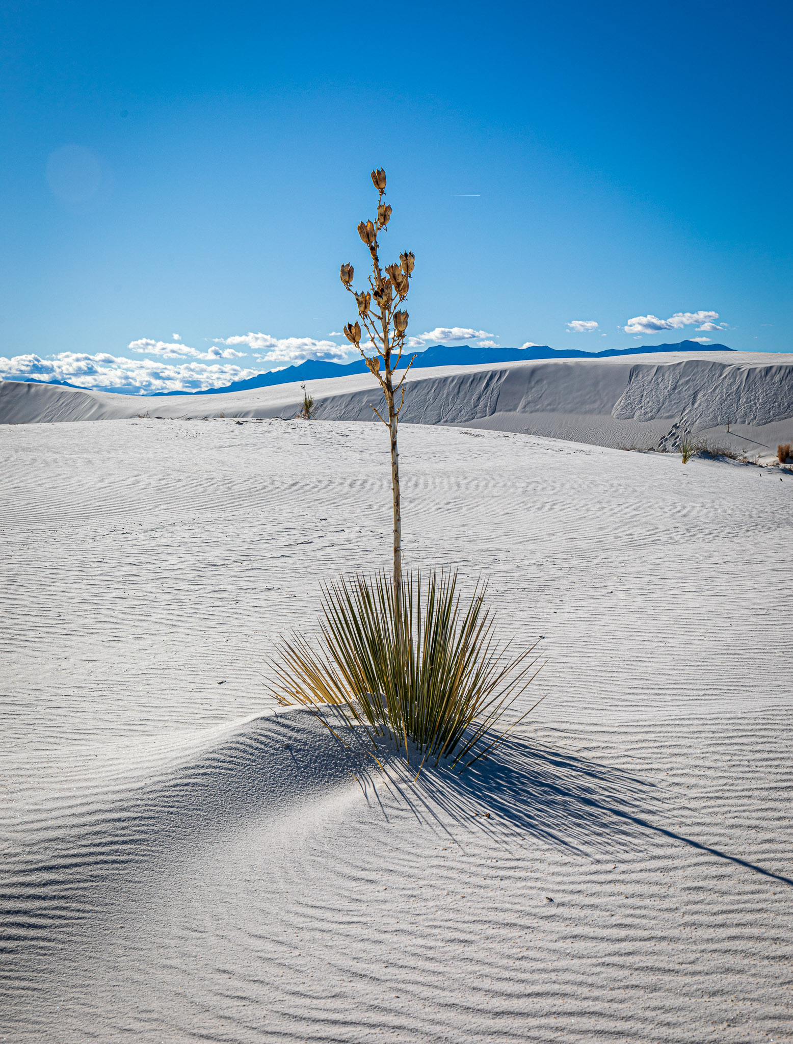 White Sands National Monument