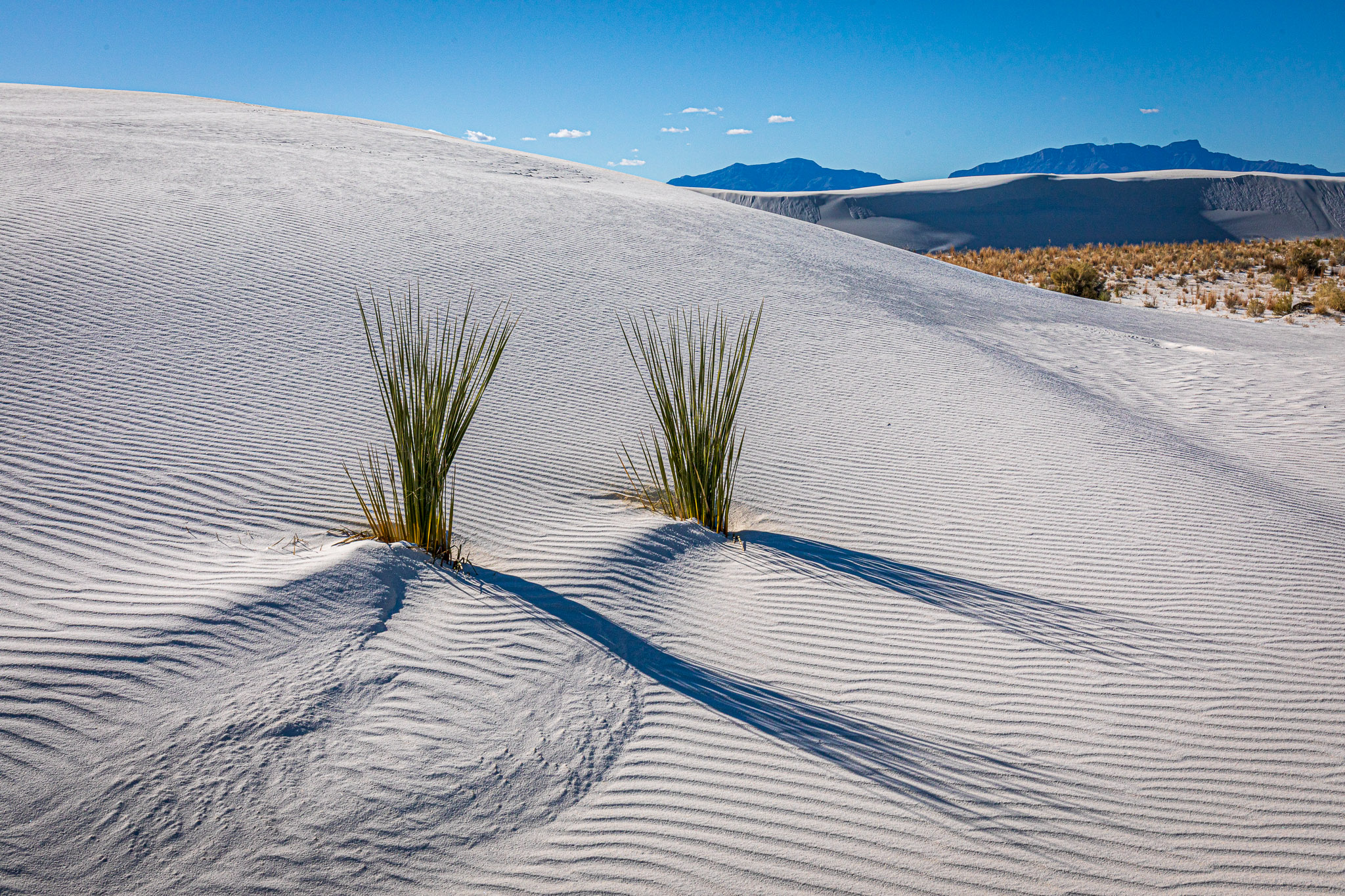 White Sands National Monument