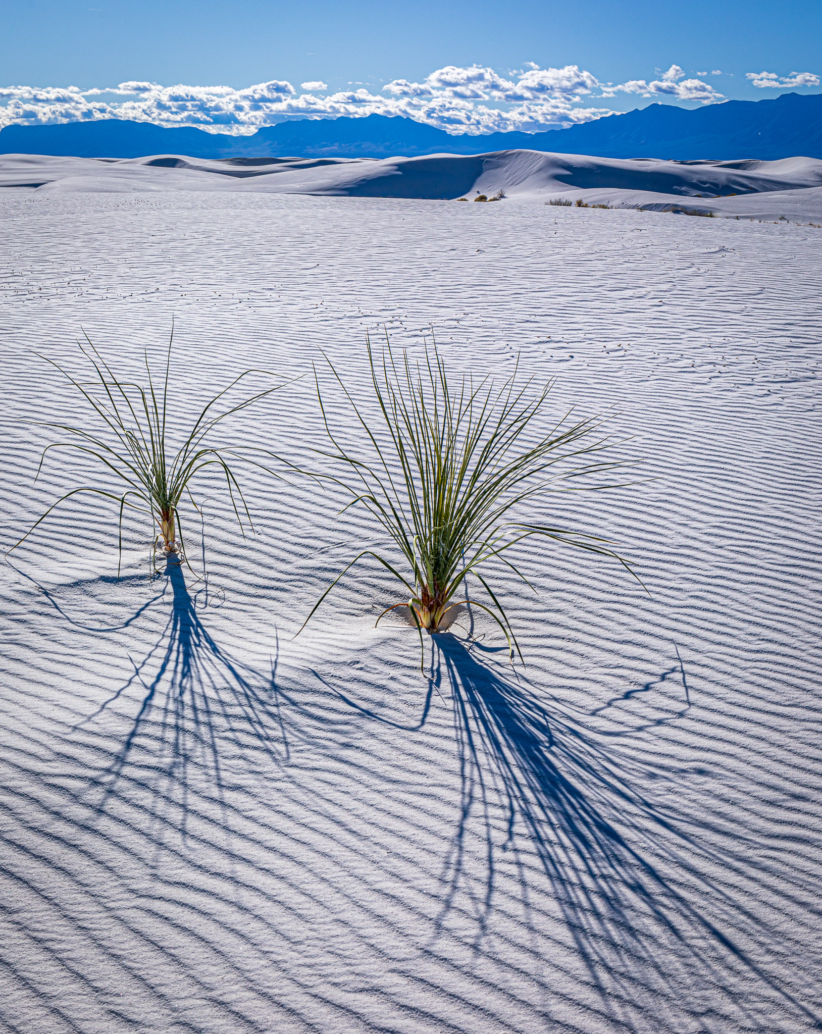 White Sands National Monument