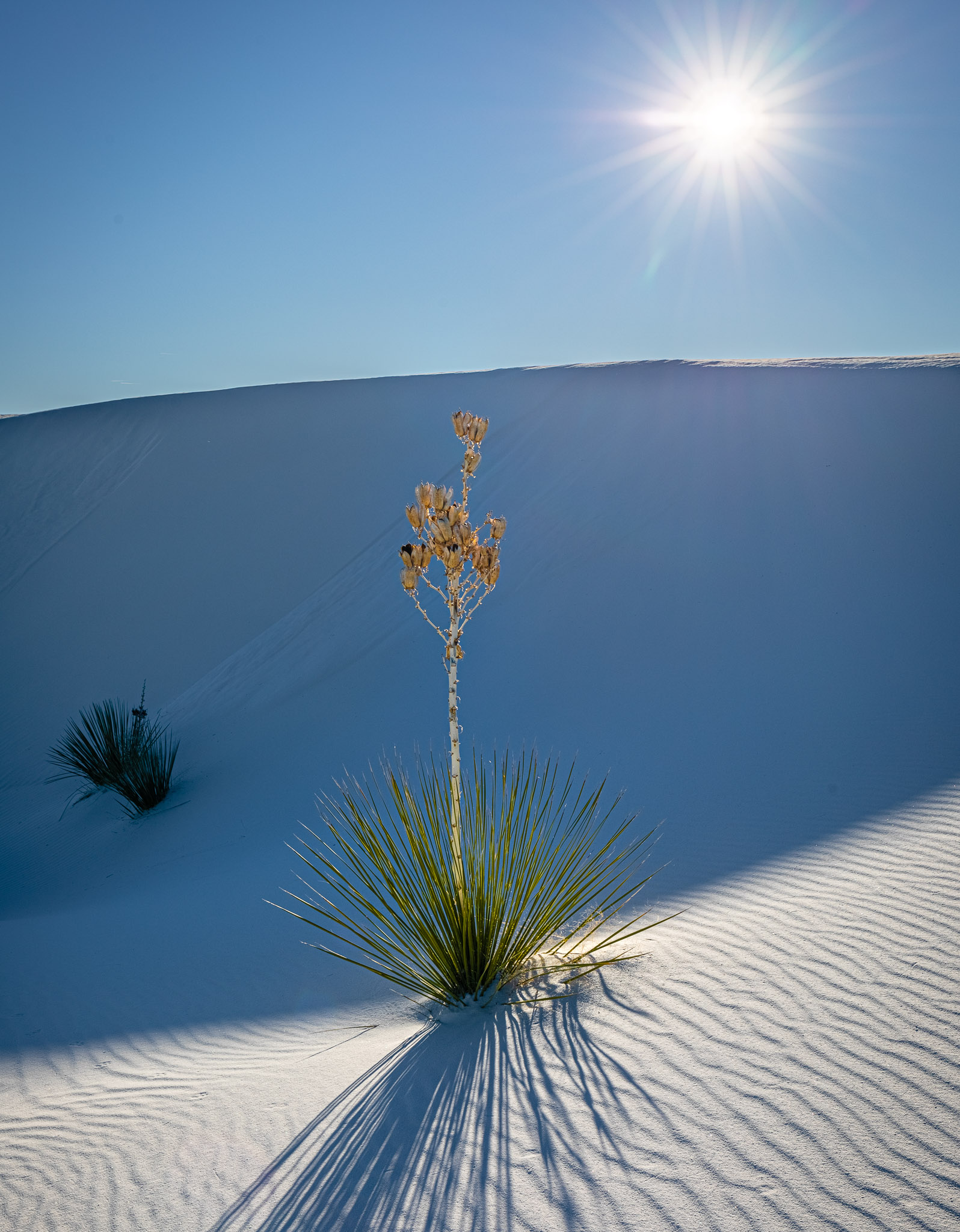 White Sands National Monument, New Mexico