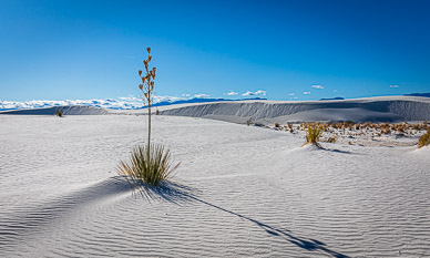 White Sands National Monument