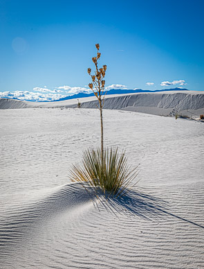 White Sands National Monument