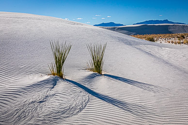 White Sands National Monument