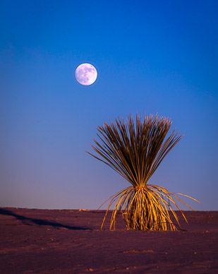 White Sands Full Moonrise