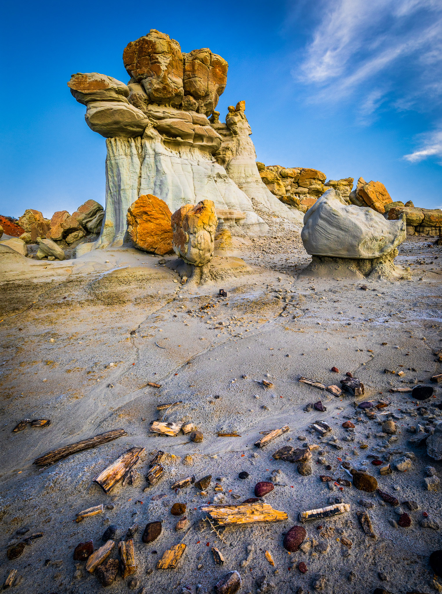 Petrified Wood, Valley of Dreams