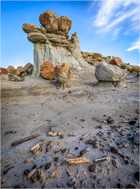 Petrified Wood, Valley of Dreams
