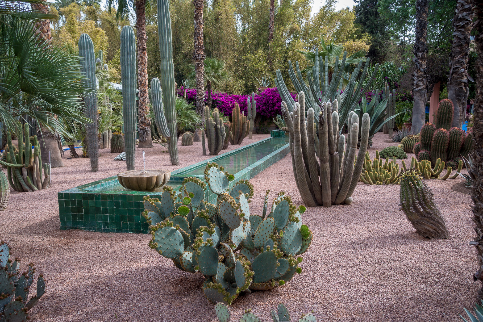 Jacques Majorelle's Gardens & residence