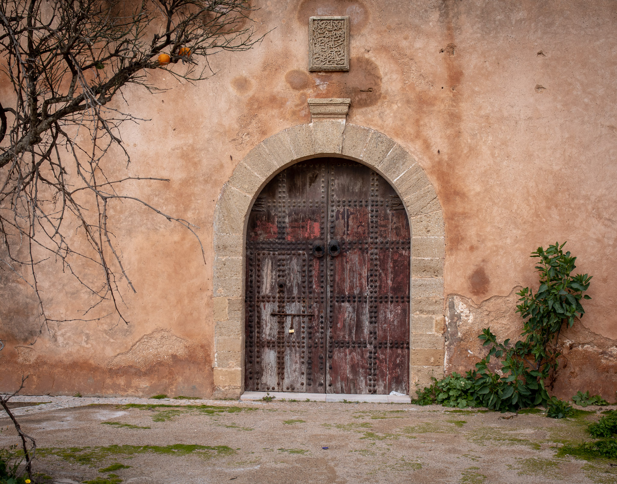 Kasbah of the Udayas door