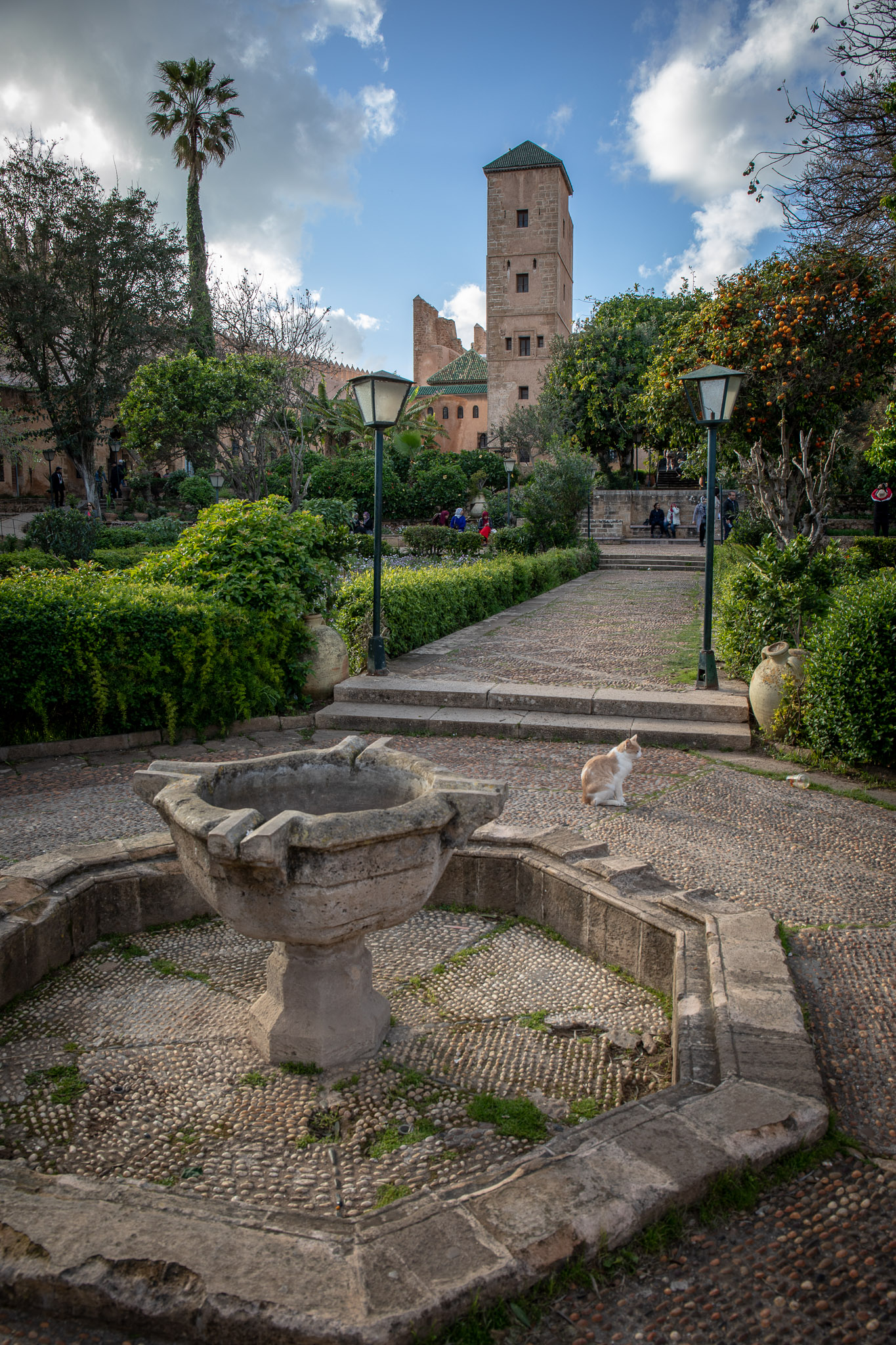 Kasbah of the Udayas garden