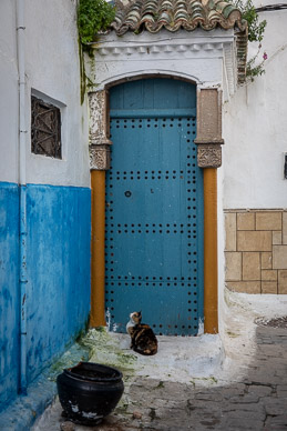 Kasbah of the Udayas interior door