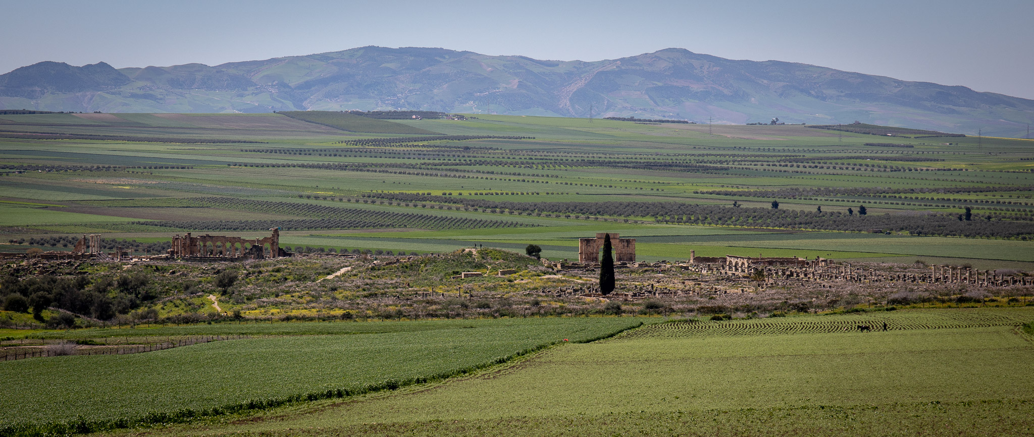 Volubilis