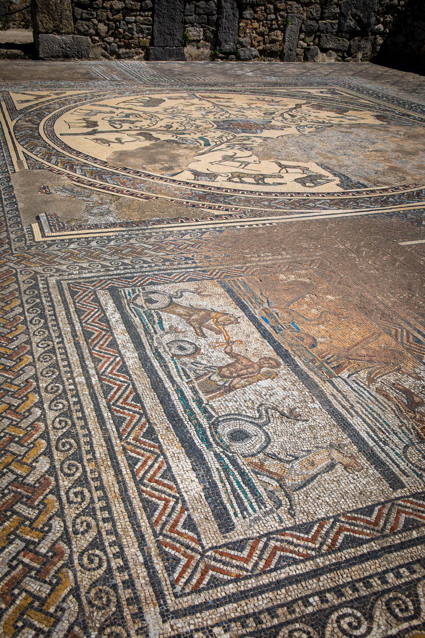 Volubilis mosaic