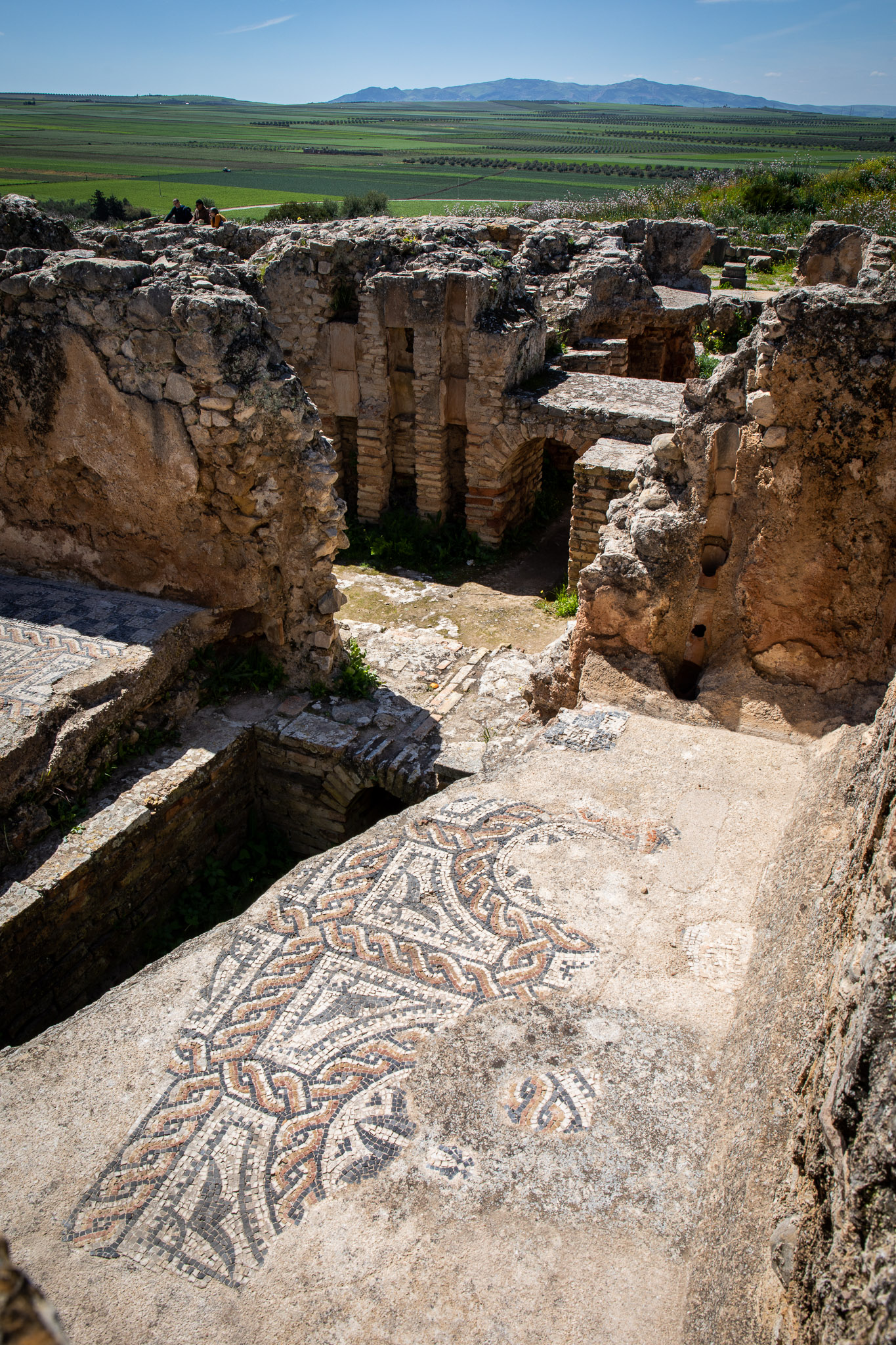 Volubilis