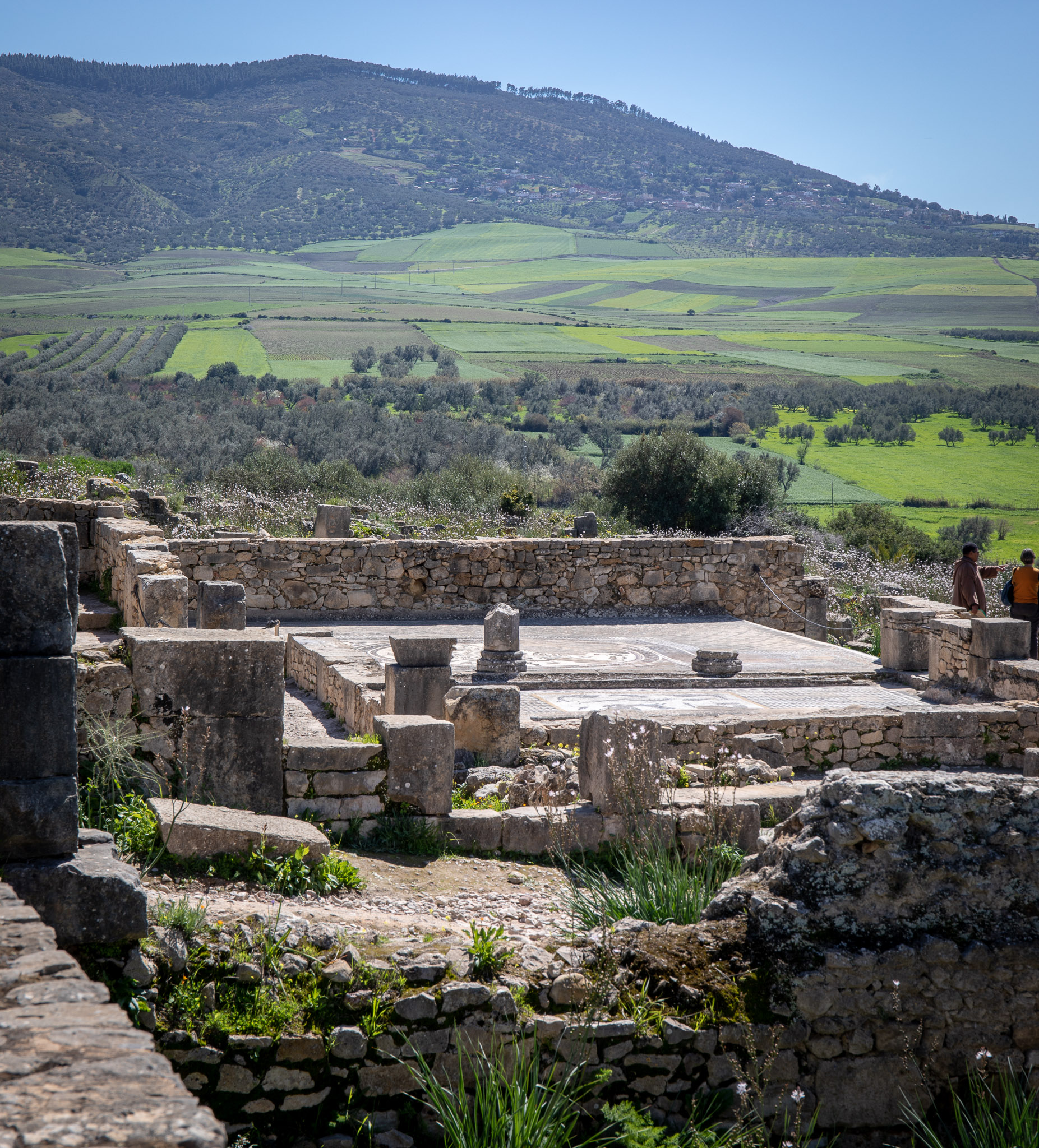 Volubilis