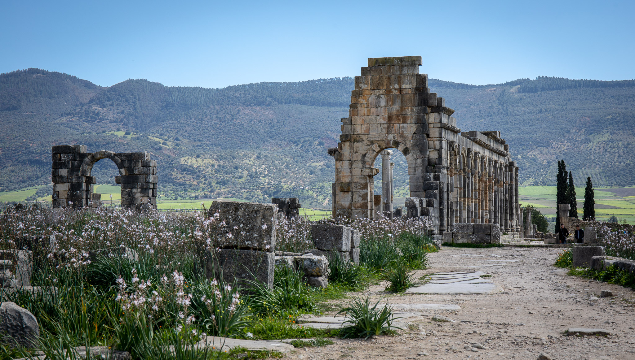 Volubilis