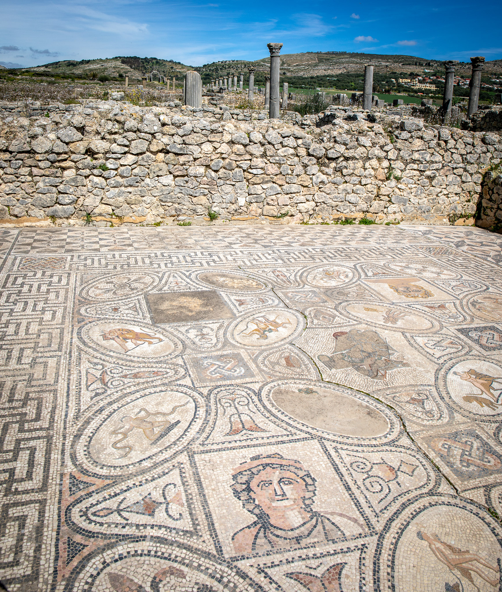 Volubilis mosaic