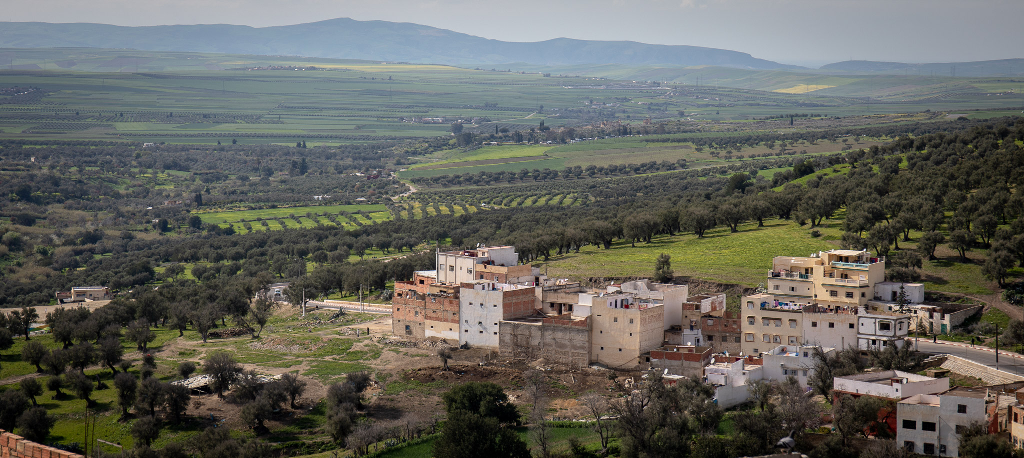 View of Volubilis (in left-center, middle-ground) from Moulay Idriss