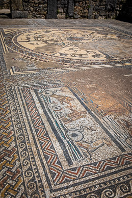 Volubilis mosaic