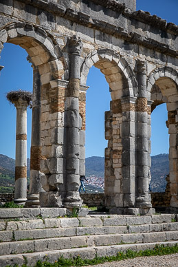 Volubilis