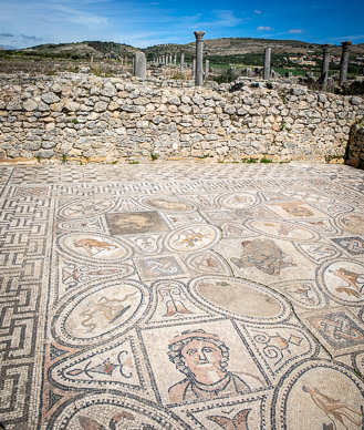 Volubilis mosaic