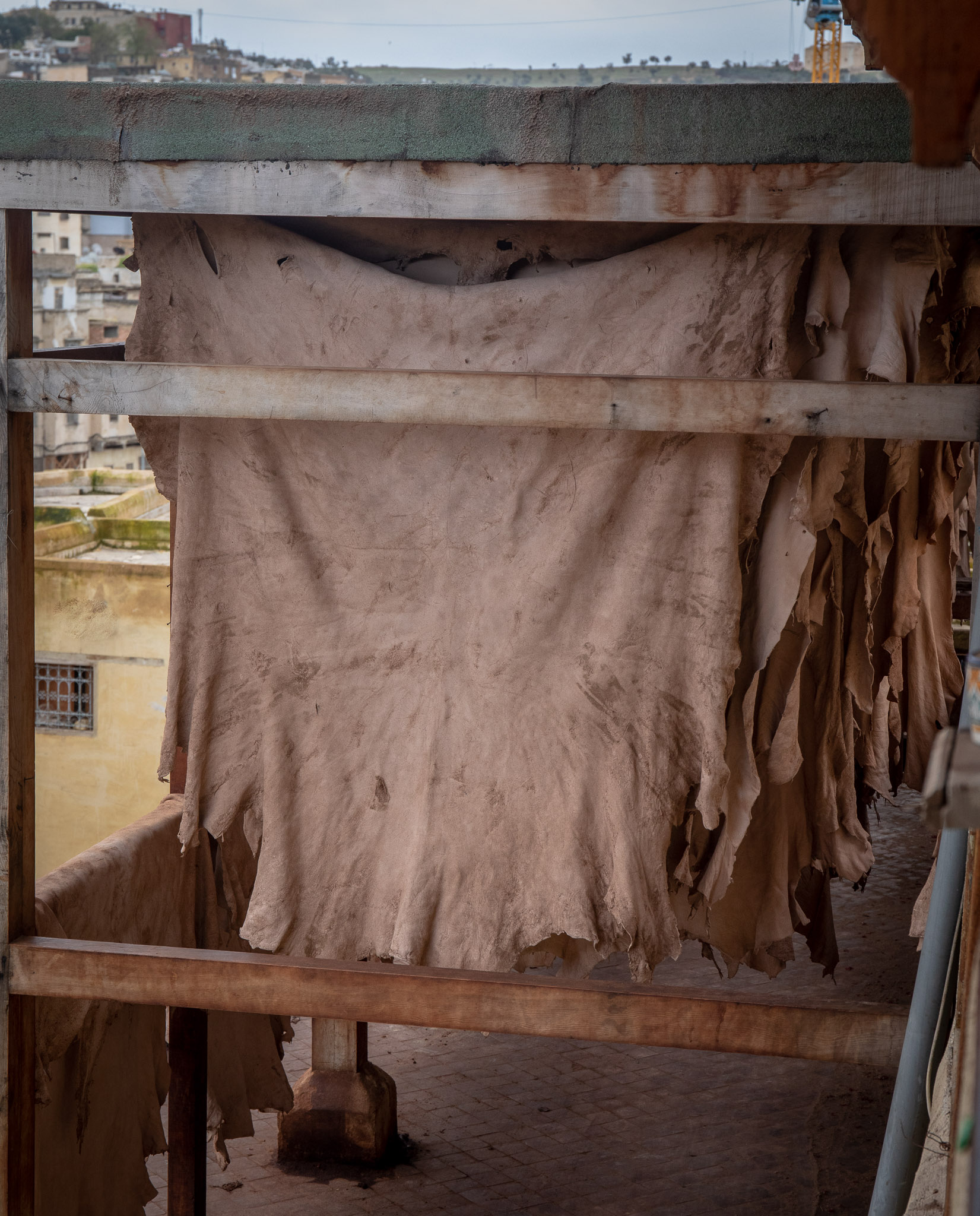 Tanned leather hides