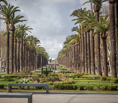 Fes new town boulevard