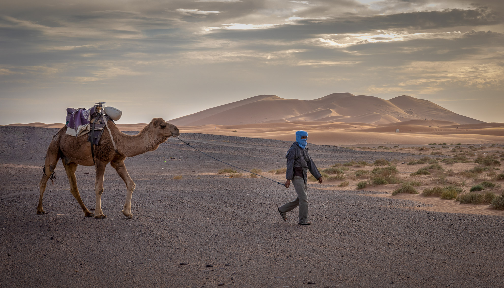 Camel ride to Erg Chebbi dunes