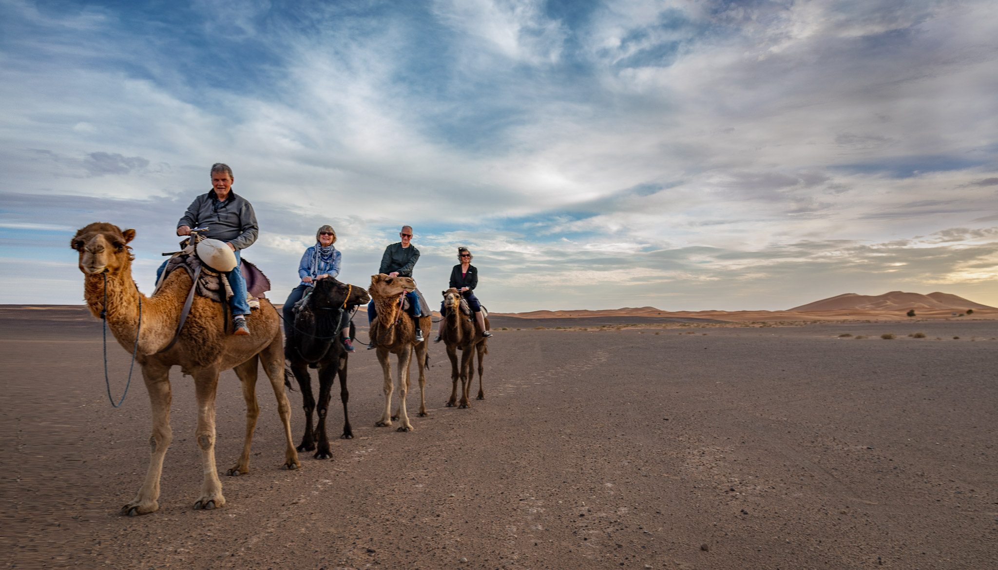 Camel ride to Erg Chebbi dunes