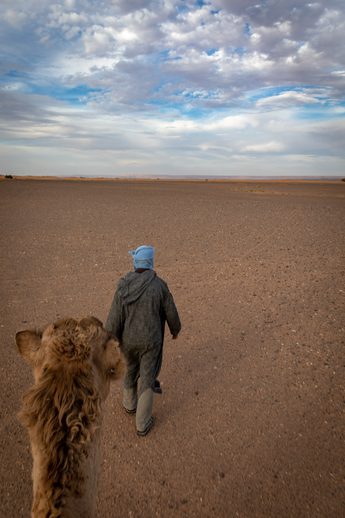 Camel ride to Erg Chebbi dunes