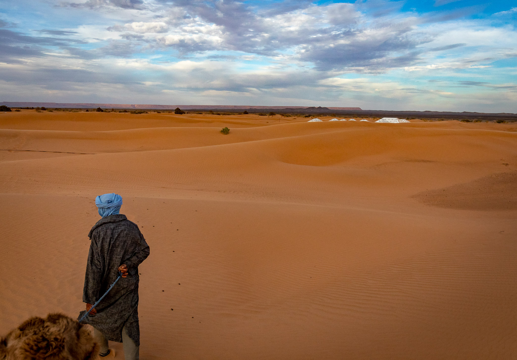 Camel ride to Erg Chebbi dunes