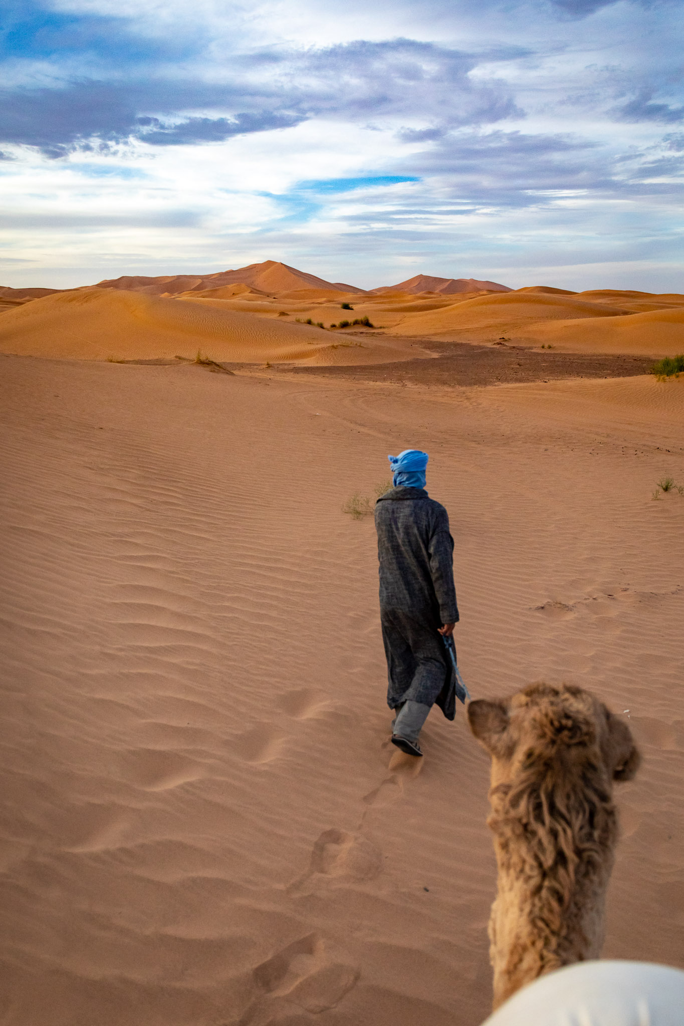 Camel ride to Erg Chebbi dunes