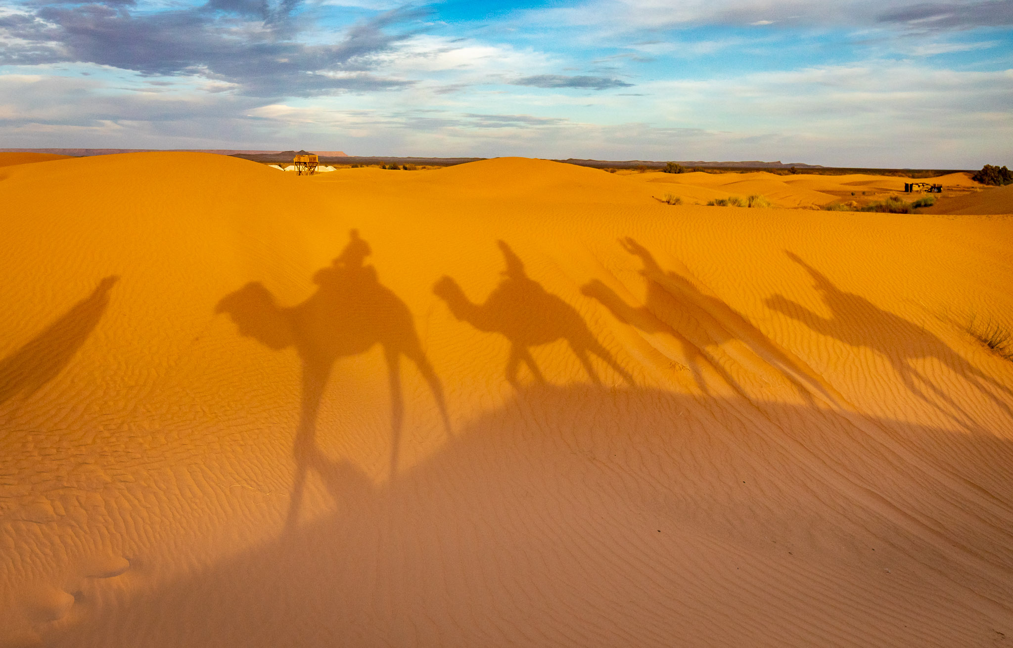 Camel ride to Erg Chebbi dunes