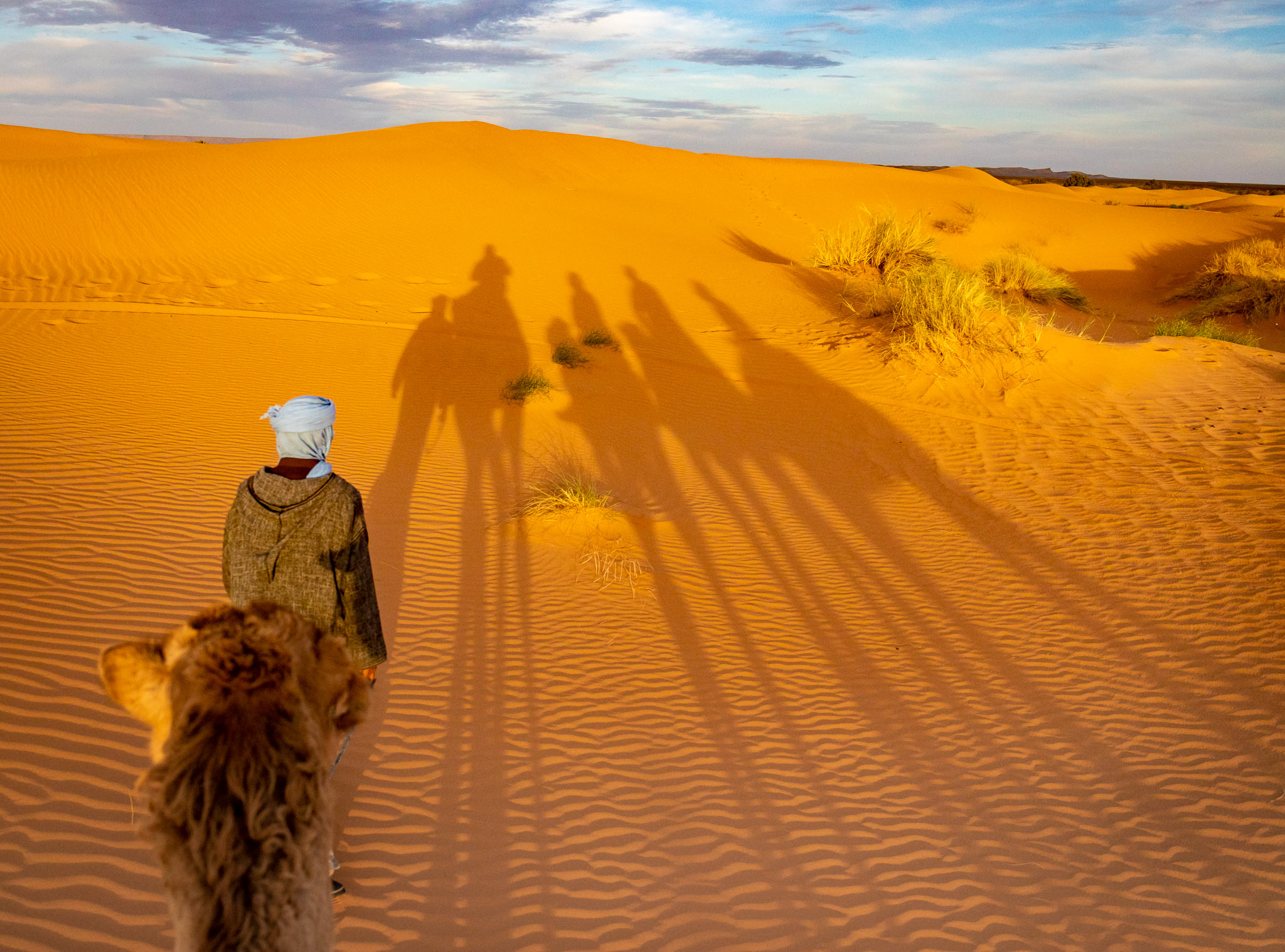 Camel ride to Erg Chebbi dunes