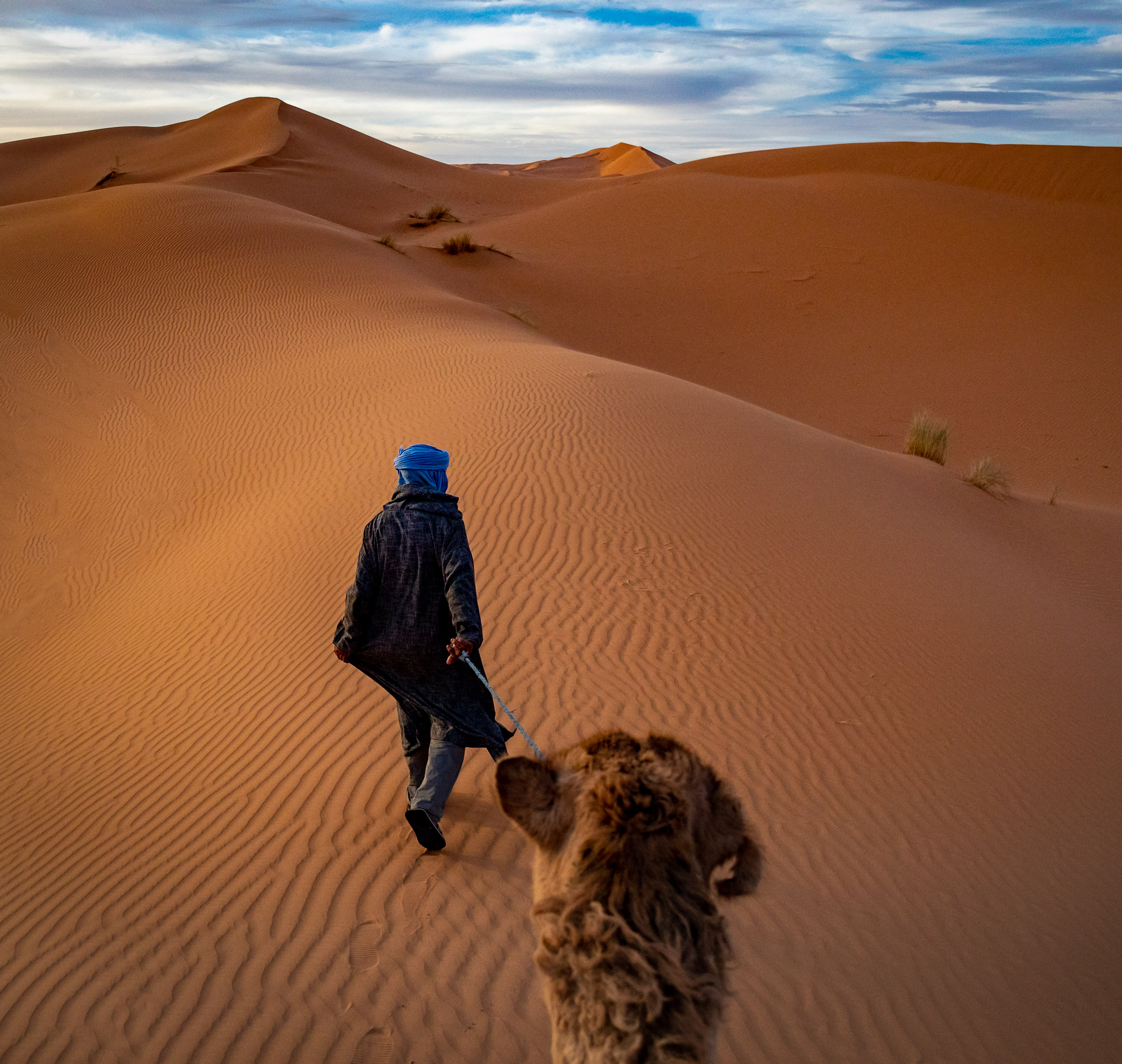 Camel ride to Erg Chebbi dunes