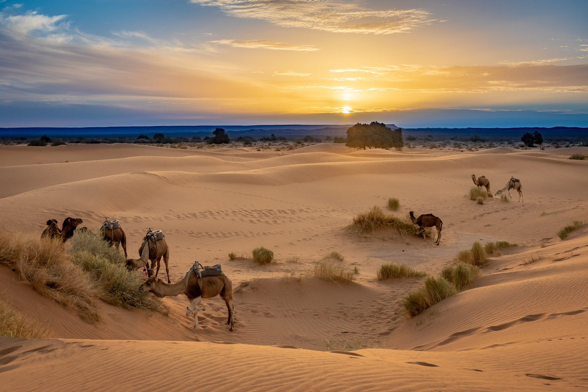 Erg Chebbi dunes sunrise