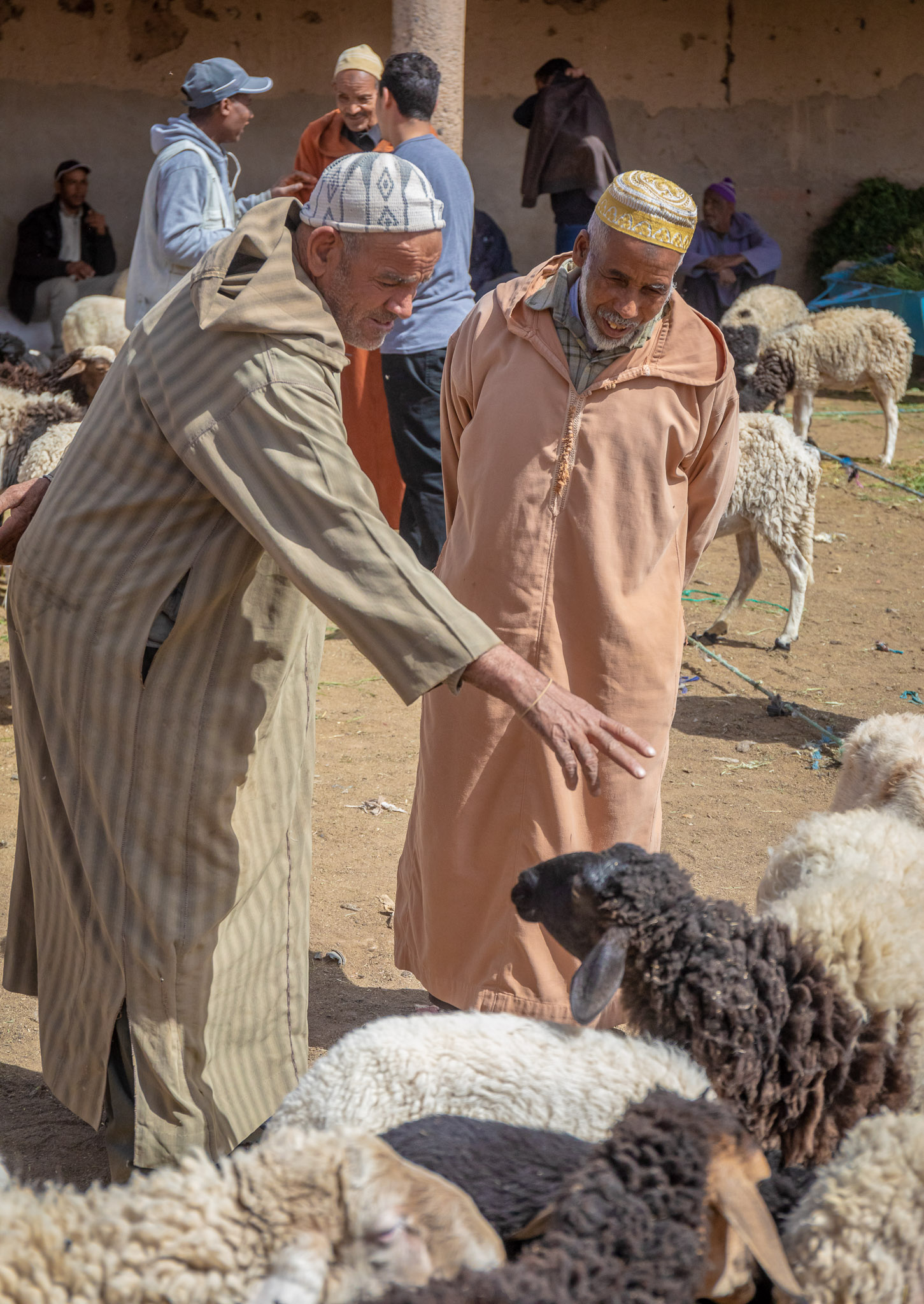 Rissani sheep market