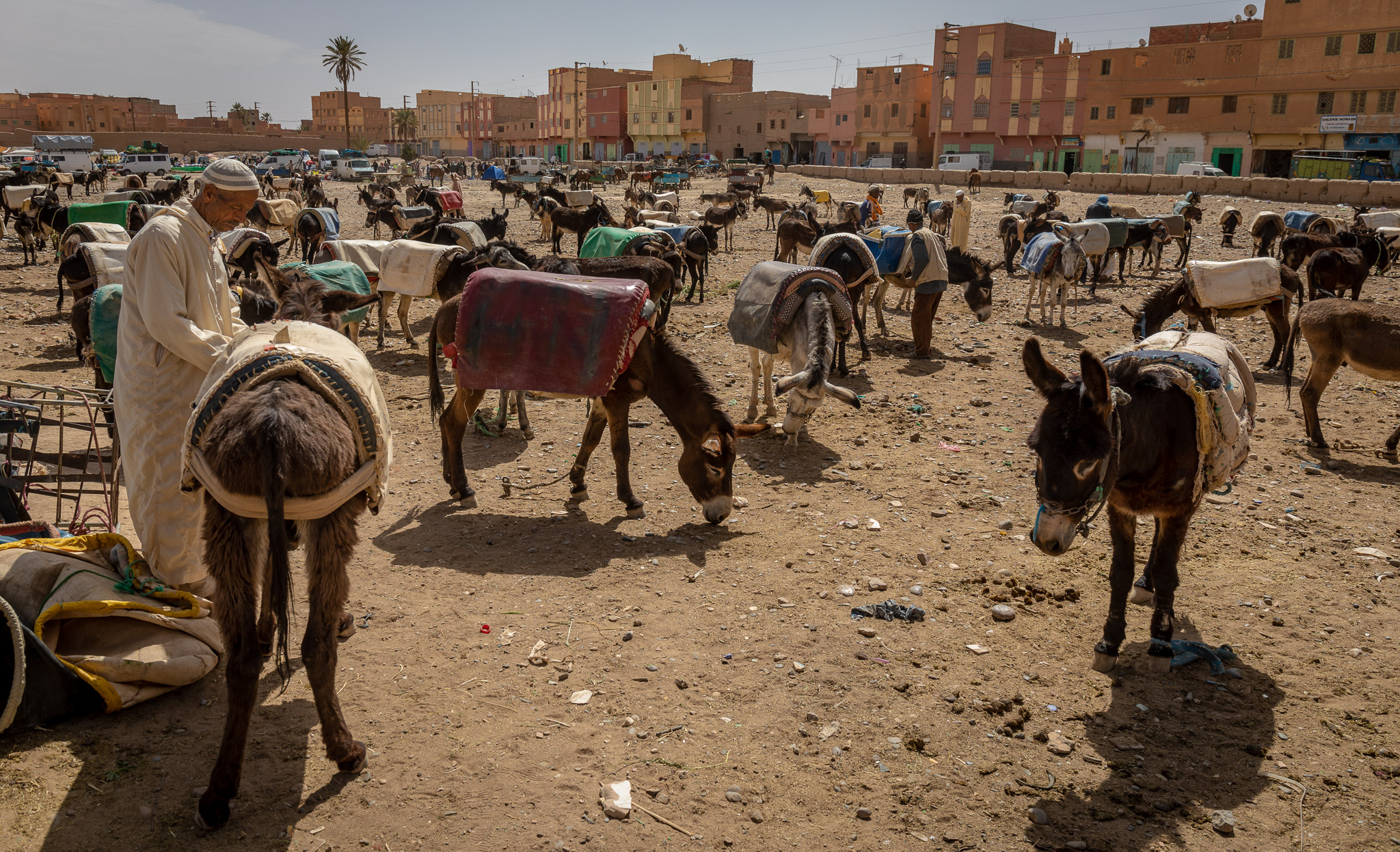 Rissani market "donkey parking lot" for shoppers