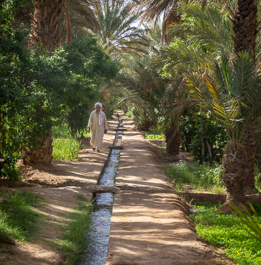 Igrane Oasis